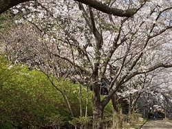 �����������01-3