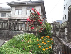 諫早03-6