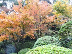 心田庵02-2