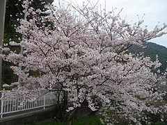 界町01