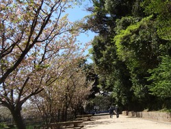 大村公園01-4