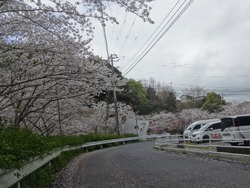 ���������00-3