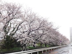 赤迫01