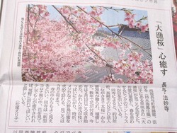 法妙寺02