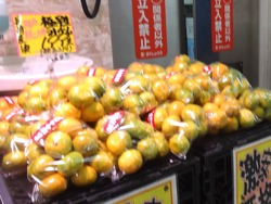 時津02