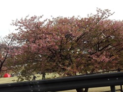 �׸�����