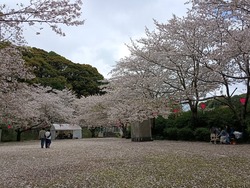 ���������01-2