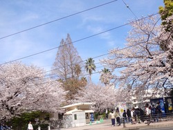 長崎大学