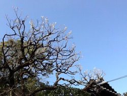 ��ˬ����02-5