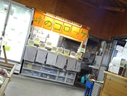 フレッシュ25101-2