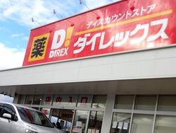ダイレックス幸町01