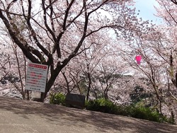中尾城公園01-3