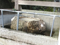 矢上神社01-2
