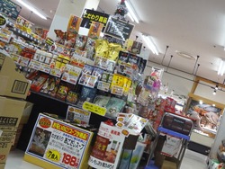 ジョイフルサン江川店01-7