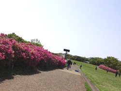 唐八景01-6