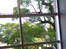 諫早市役所01-5