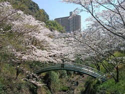 �����������01-4