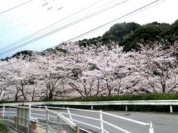¼¯Èø¥À¥à¸ø±à01-1