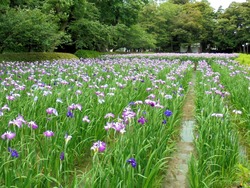 大村公園02-2
