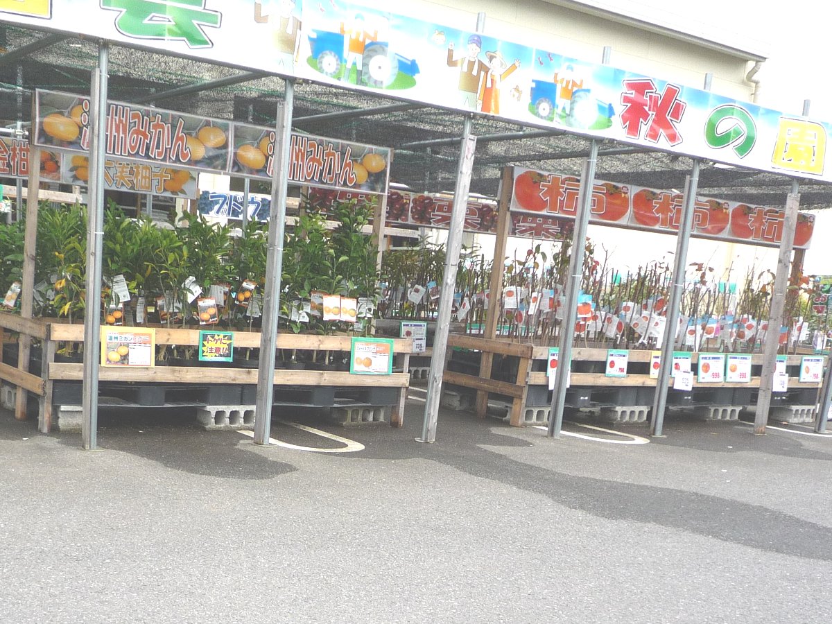 正しい休日の過ごし方 ホームセンター Livedoor Blog ブログ