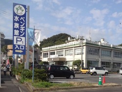 ペンギン水族館01