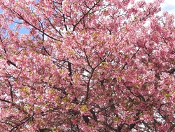 久原公園01-7