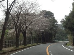 稲佐山01-2