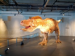 ��ε��ʪ��01-7