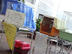 ¥¢¥¨¥ë02-6