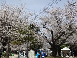 大村公園01-1