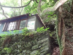 藤田尾04
