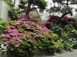 浜町02-2