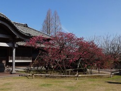 神代小路02-2-2