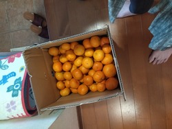 島原土産01-4