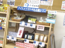 ジョイフルサン江川02-4