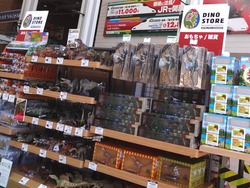 かもめ広場01