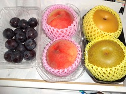 孫02-2