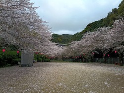 ���������01-3