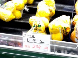 諫早01-7