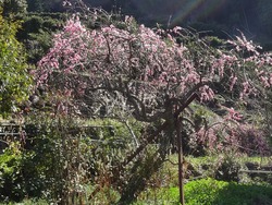 ������01-4