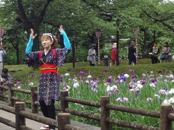 花菖蒲まつり02-5