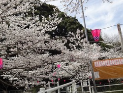 新戸町01-3
