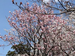 西山ダム公園01-3