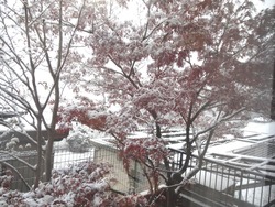 雪01-3