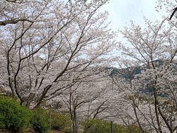 ���������01-7