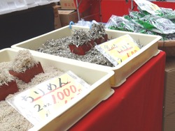 雲仙物産市01-4
