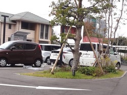 新県立図書館01-7