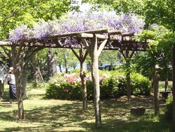 大村公園01-9