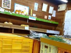 冷凍ミカン01-2