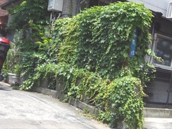 寿々屋01-3